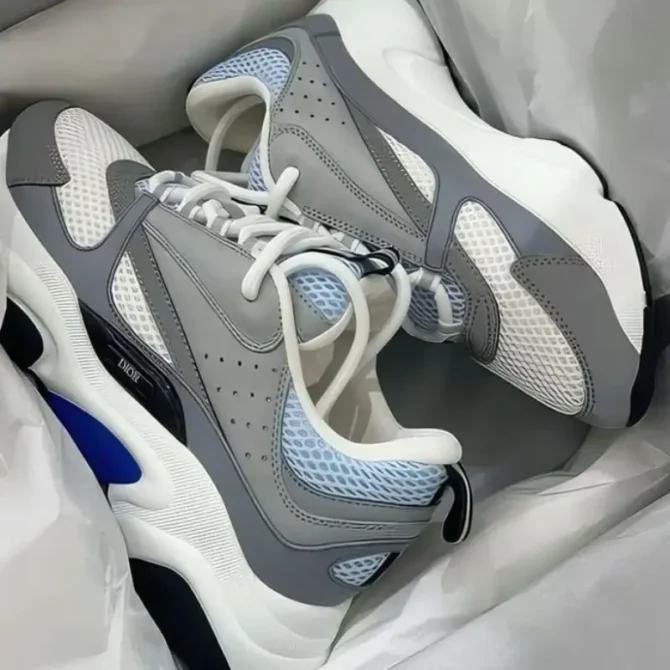 dior b22